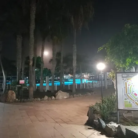 Dunaslivia コラレホ